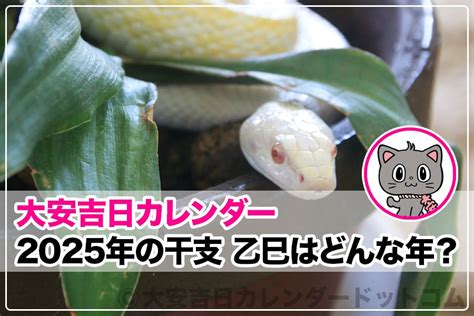 2025年 巳年|2025年今年の干支の「巳」とはどんな意味が。運勢。